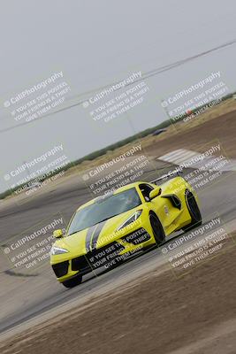 media/Jul-31-2022-Speed Ventures (Sun) [[bfb4b6530b]]/Black Group/Grapevine/